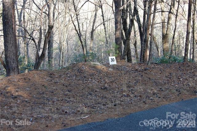 Lot 30 Summit Ct #30, Lake Lure, NC 28746