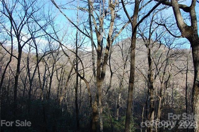 Lot 30 Summit Ct #30, Lake Lure, NC 28746