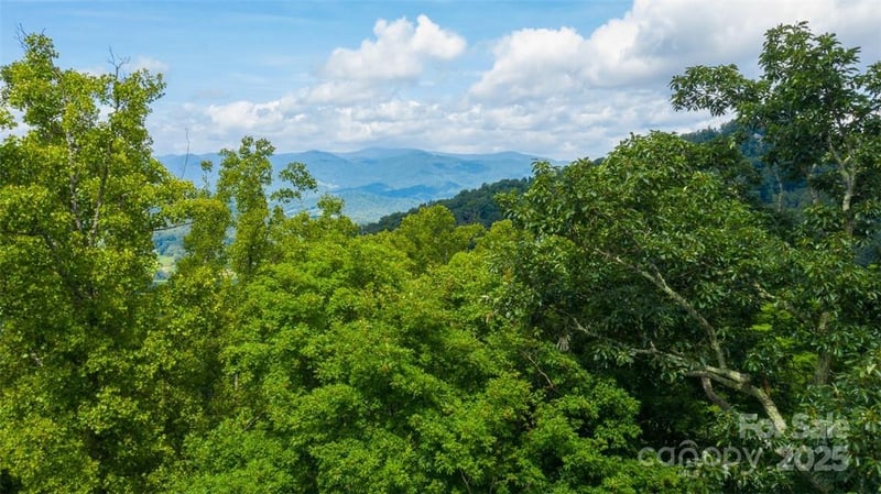 Lot 22 Spring Rock Rd, Burnsville, NC 28714