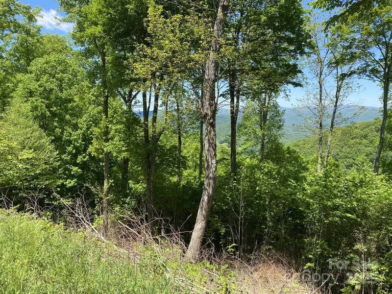 Lot 22 Spring Rock Rd, Burnsville, NC 28714