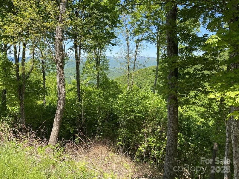 Lot 22 Spring Rock Rd, Burnsville, NC 28714