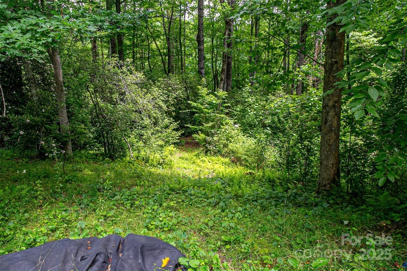 164 Horseplay Ln, Lake Toxaway, NC 28747