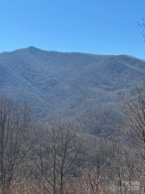 TBD Sorrells Creek Rd, Canton, NC 28716