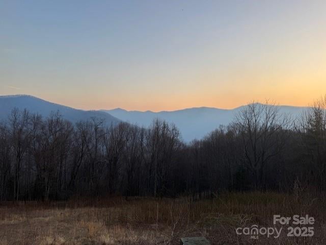 TBD Sorrells Creek Rd, Canton, NC 28716