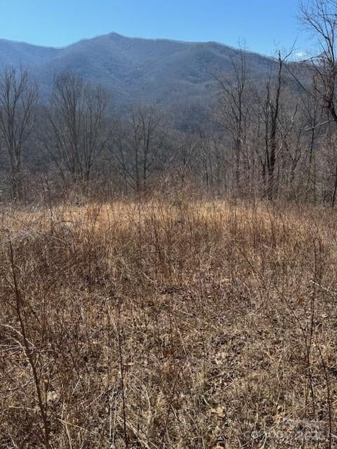 TBD Sorrells Creek Rd, Canton, NC 28716