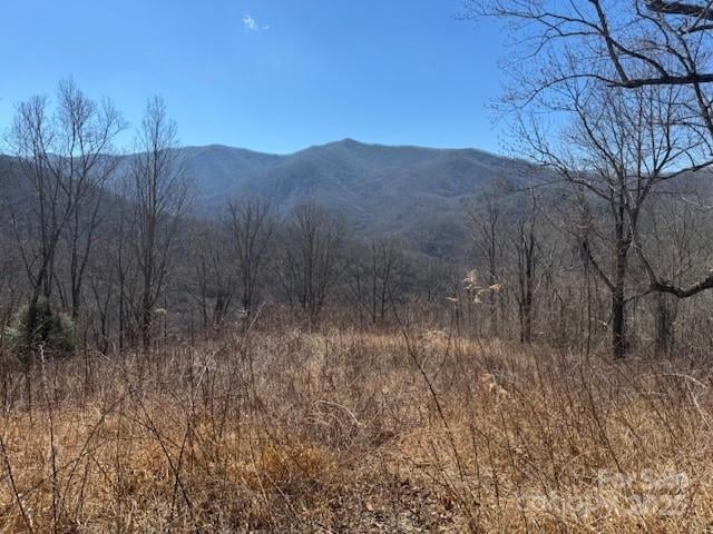 TBD Sorrells Creek Rd, Canton, NC 28716
