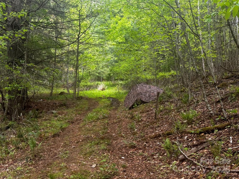 00 Mcpeters Ln, Burnsville, NC 28714