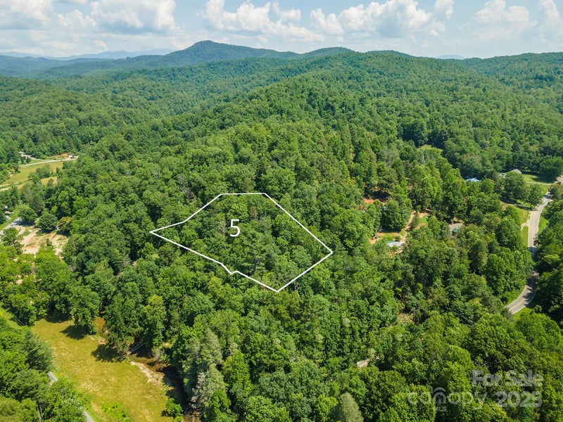 5 Roy Ln, Black Mountain, NC 28711