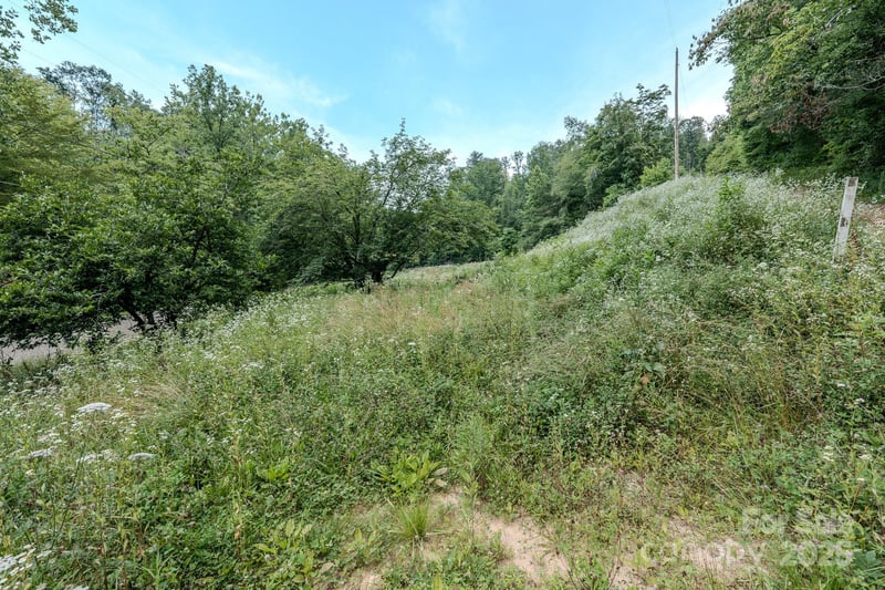 582 Poplar Creek Rd, Green Mountain, NC 28740