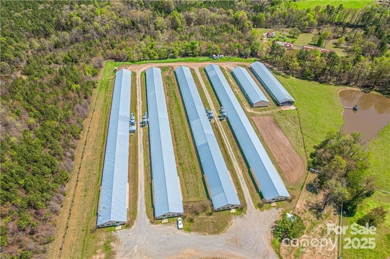 7160 Old Us Hwy 421 None, Staley, NC 27355