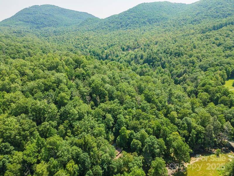 4 Roy Ln, Black Mountain, NC 28711