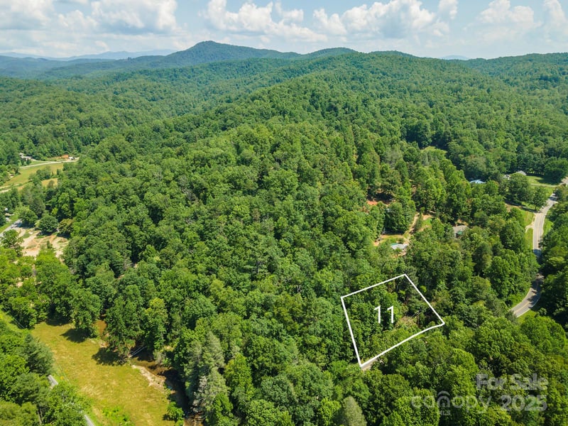11 Roy Ln, Black Mountain, NC 28711