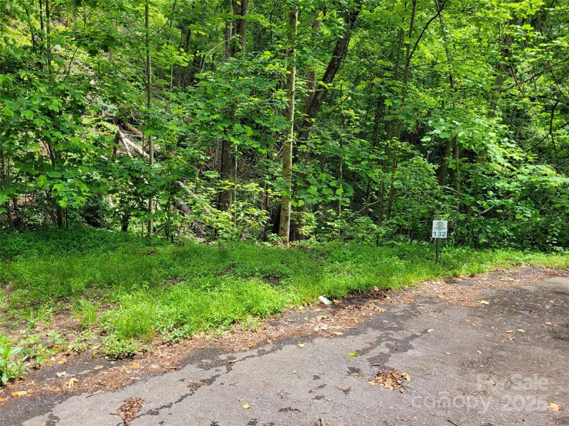TBD Bear River Lodge Trl #132, Marshall, NC 28753