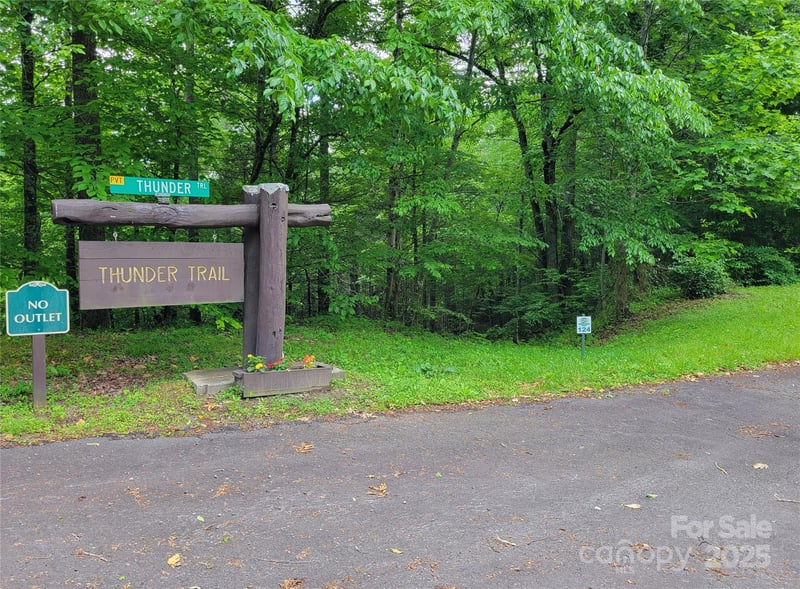 TBD Bear River Lodge Trl #123 &124, Marshall, NC 28753