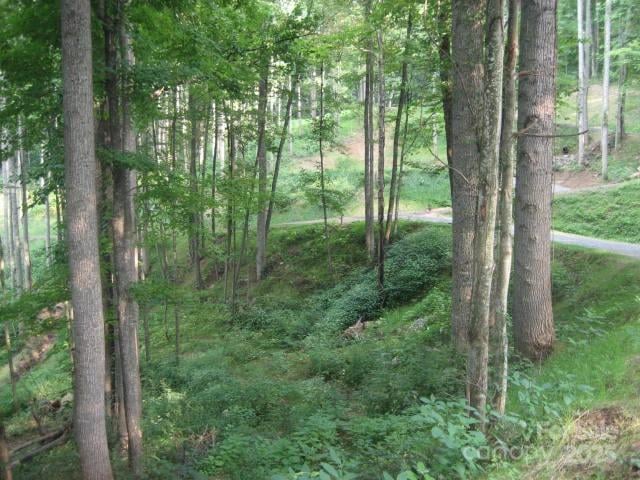 10 Katua Trl #10, Maggie Valley, NC 28751