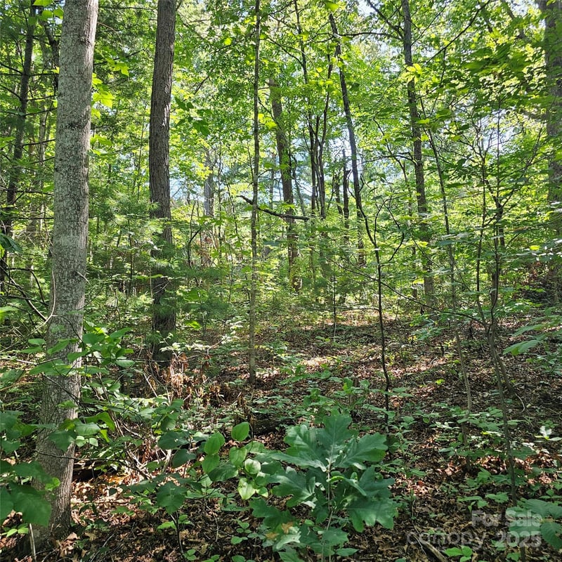 99999 Campground Rd, Asheville, NC 28805