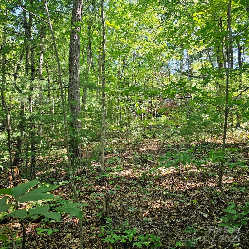 99999 Campground Rd, Asheville, NC 28805