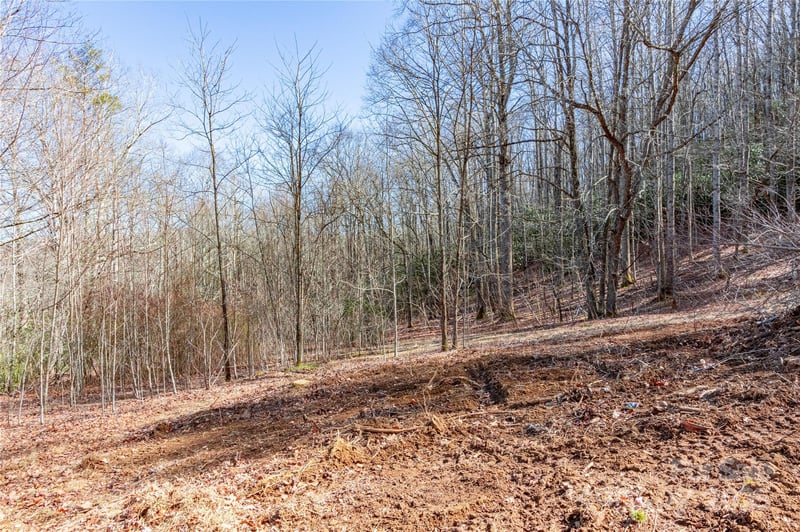 Landis Ln, Burnsville, NC 28714