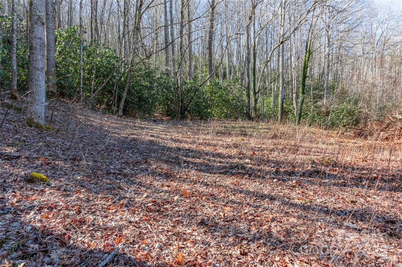 Landis Ln, Burnsville, NC 28714