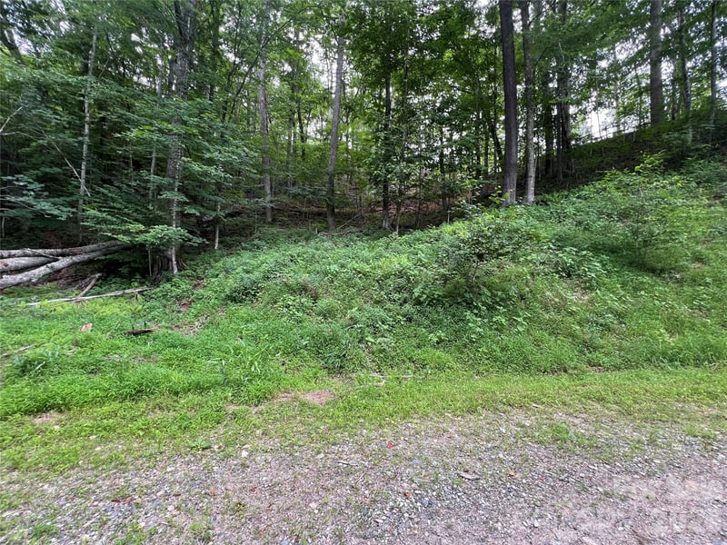 Chestnut Ln Lot 84, Mars Hill, NC 28754