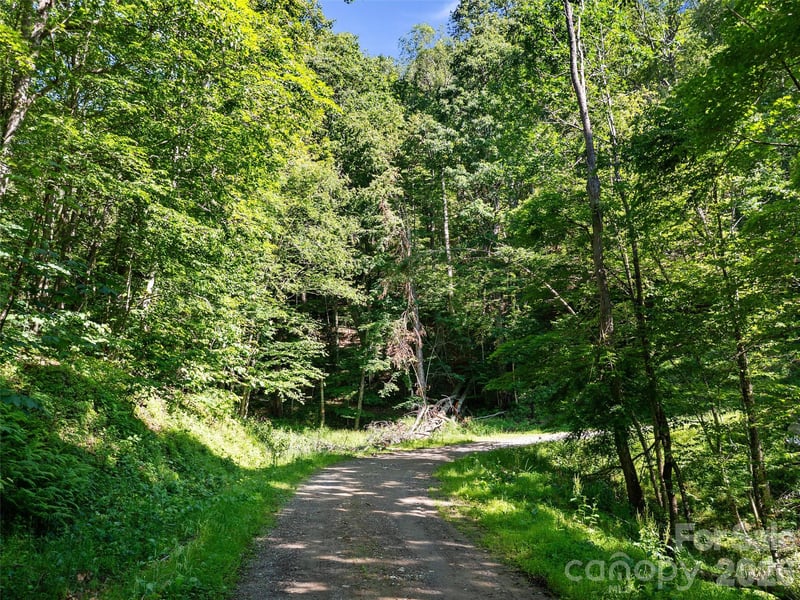 Chestnut Ln Lot 84, Mars Hill, NC 28754