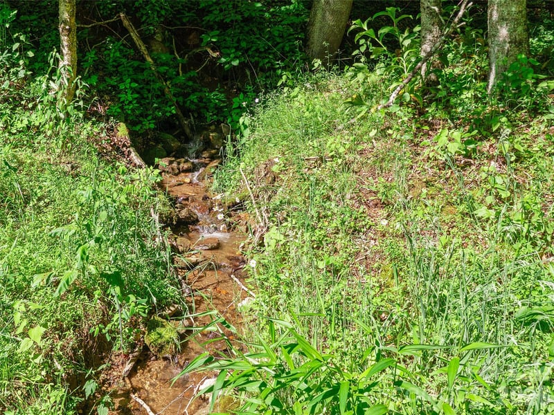 Chestnut Ln Lot 84, Mars Hill, NC 28754