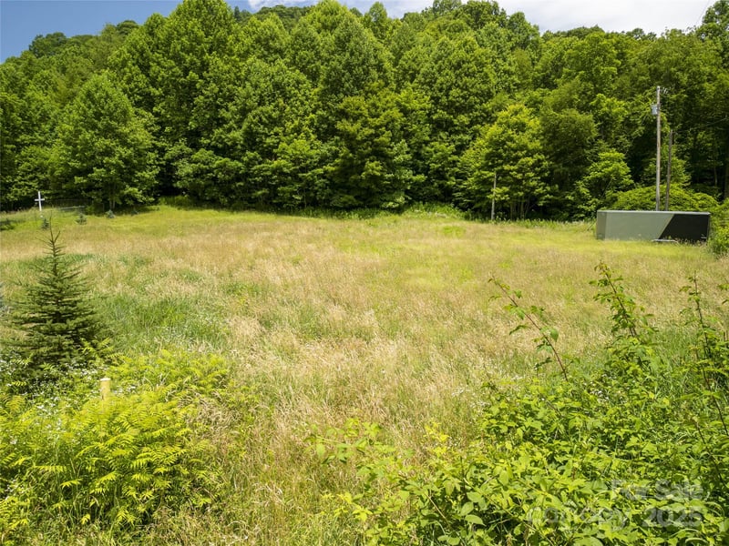 168 Smith Creek Rd, Mars Hill, NC 28754