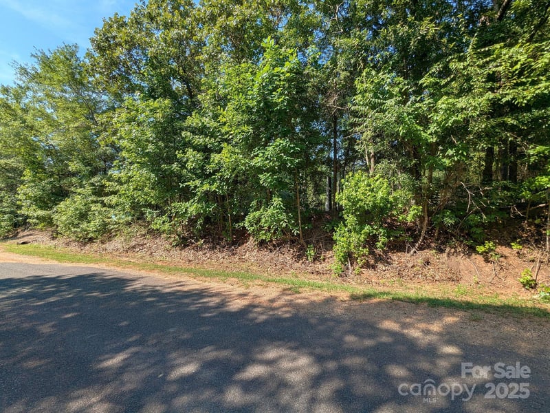 Roddey Rd, Catawba, SC 29704