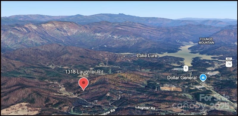 1318 Laughter Rd, Mill Spring, NC 28756