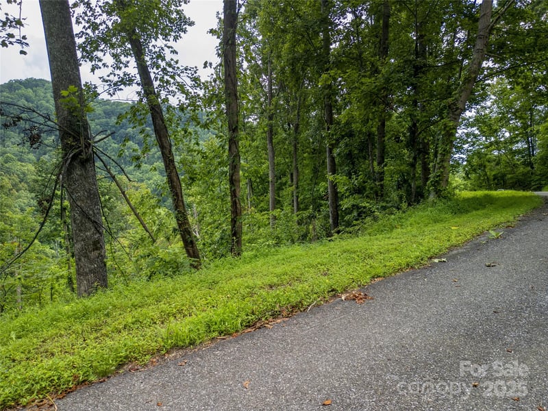 364 Chisel Rock Way, Weaverville, NC 28787