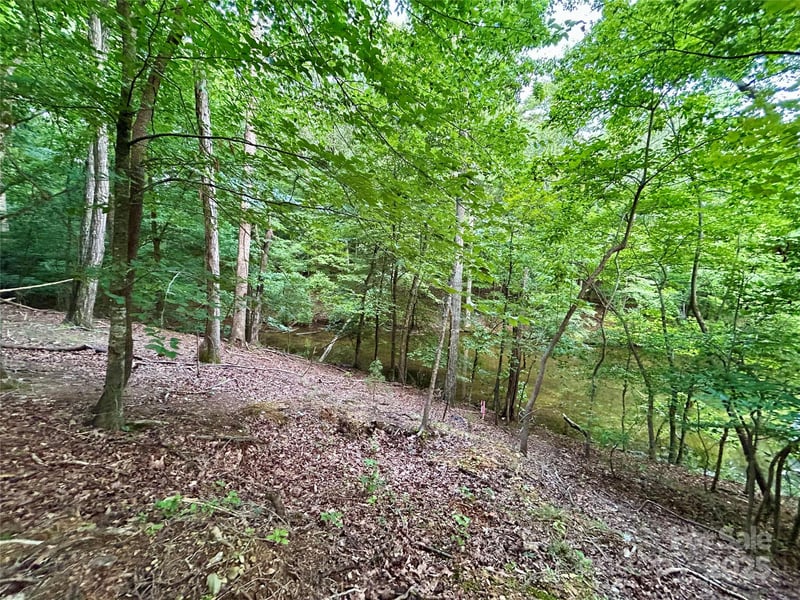 00 Bridgeview Ct #119, Norwood, NC 28128