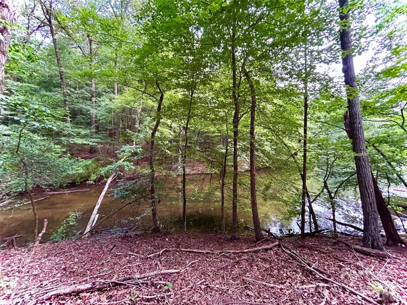 00 Bridgeview Ct #119, Norwood, NC 28128