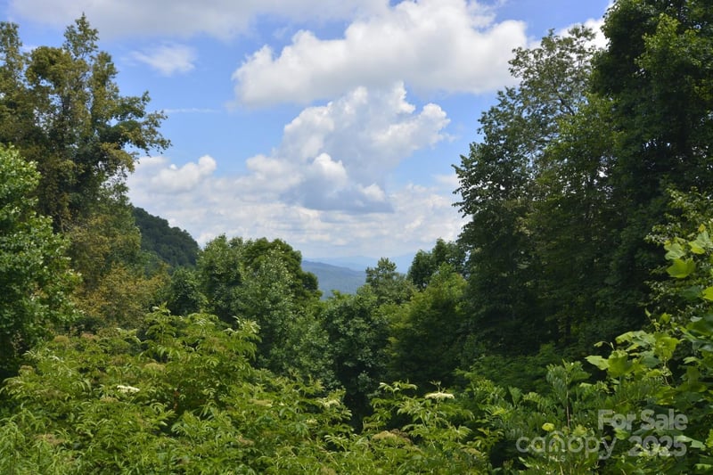 999 Red Wolf Rn #48, Mars Hill, NC 28754