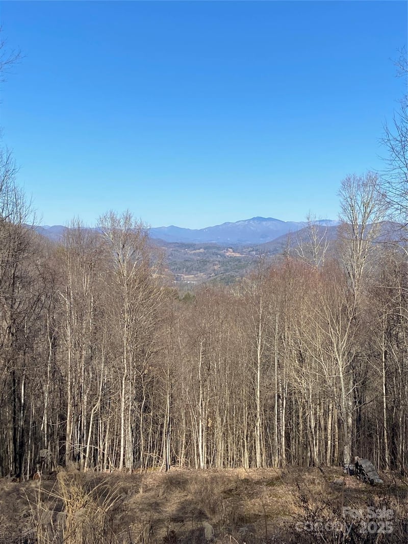 999 Red Wolf Rn #48, Mars Hill, NC 28754