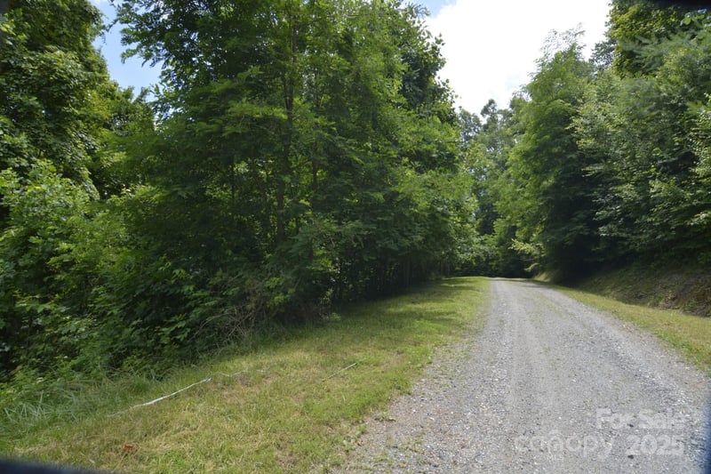 999 Red Wolf Rn #48, Mars Hill, NC 28754