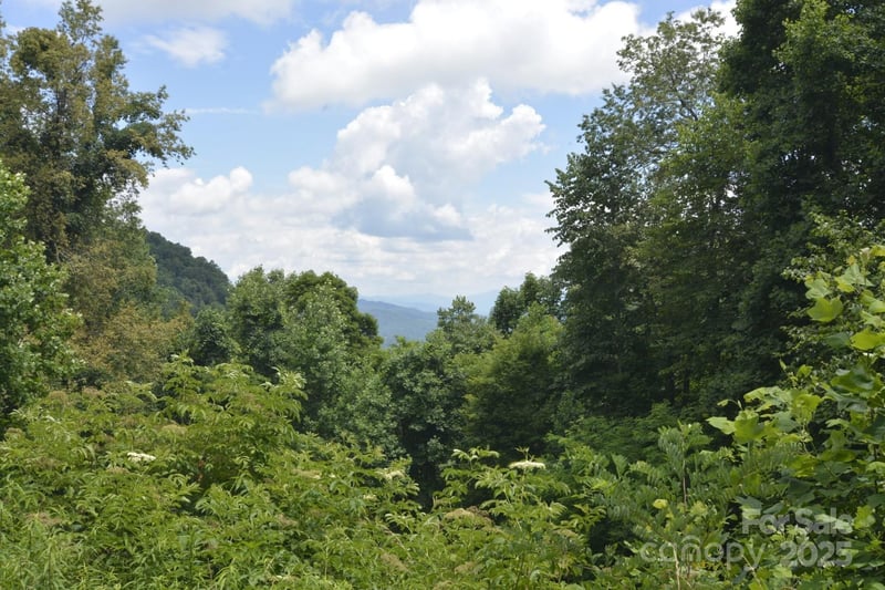 999 Red Wolf Rn #48, Mars Hill, NC 28754