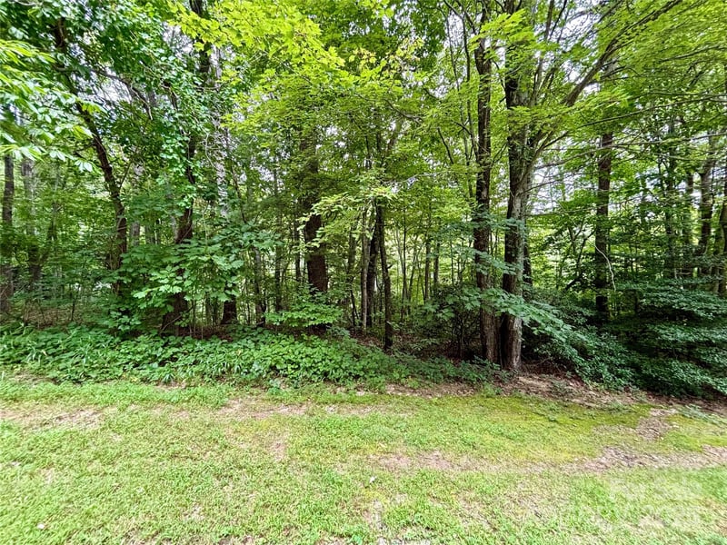 Sunlight Ridge Ct, Hendersonville, NC 28792