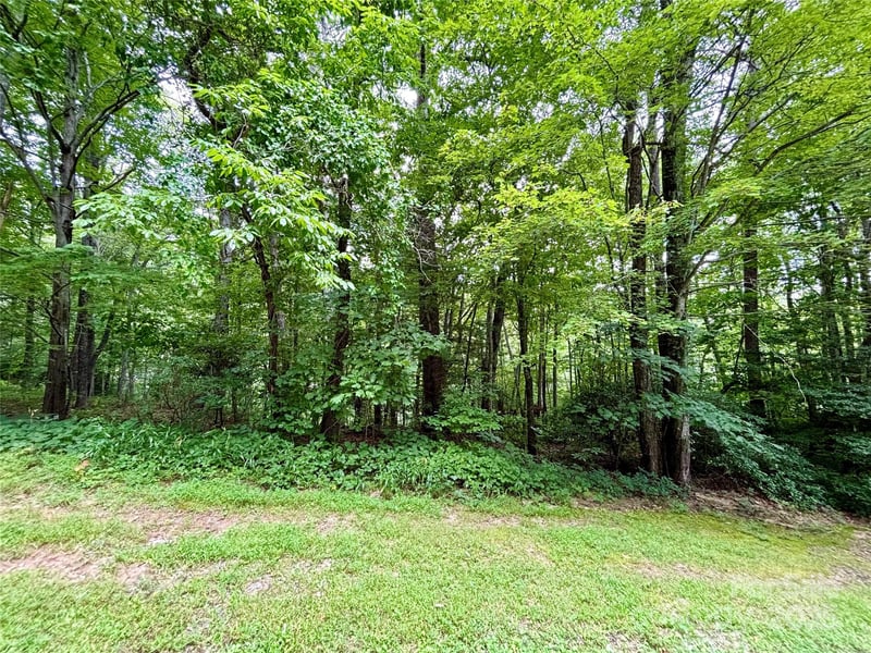 Sunlight Ridge Ct, Hendersonville, NC 28792