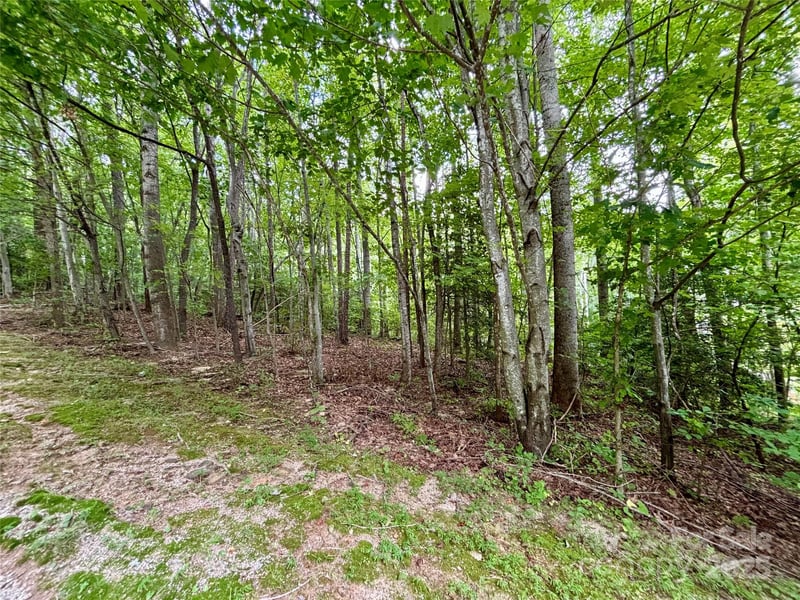 0 Sunlight Ridge Ct, Hendersonville, NC 28792