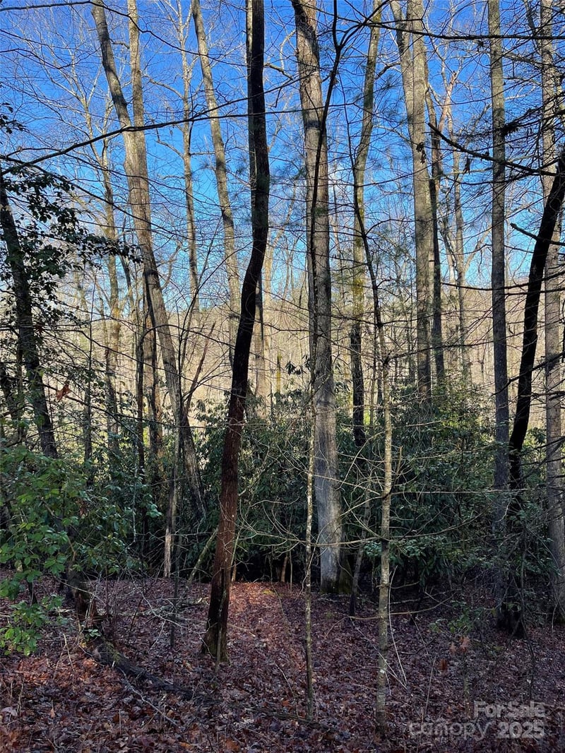 000 Old Ccc Rd, Hendersonville, NC 28739