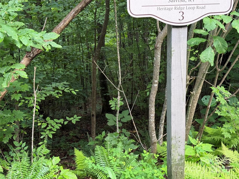 Lot 3 Heritage Ridge Loop #3/4, Burnsville, NC 28714