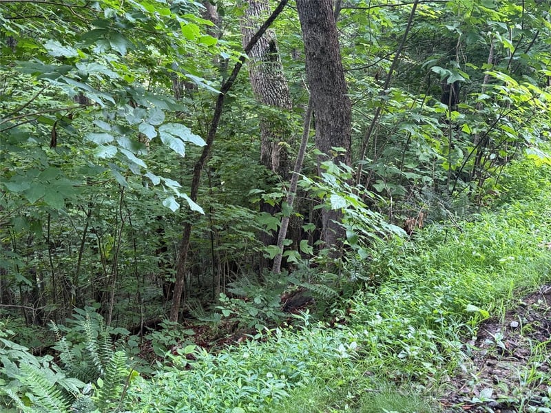 Lot 3 Heritage Ridge Loop #3/4, Burnsville, NC 28714