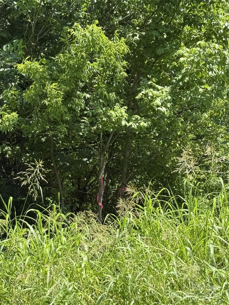Lot 4 AND 5 Elliot St, Chester, SC 29706