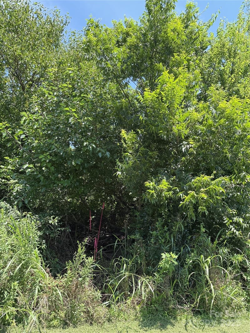 Lot 4 AND 5 Elliot St, Chester, SC 29706