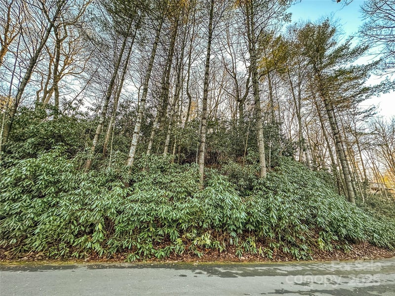 D17 Caroline Ln, Pisgah Forest, NC 28768