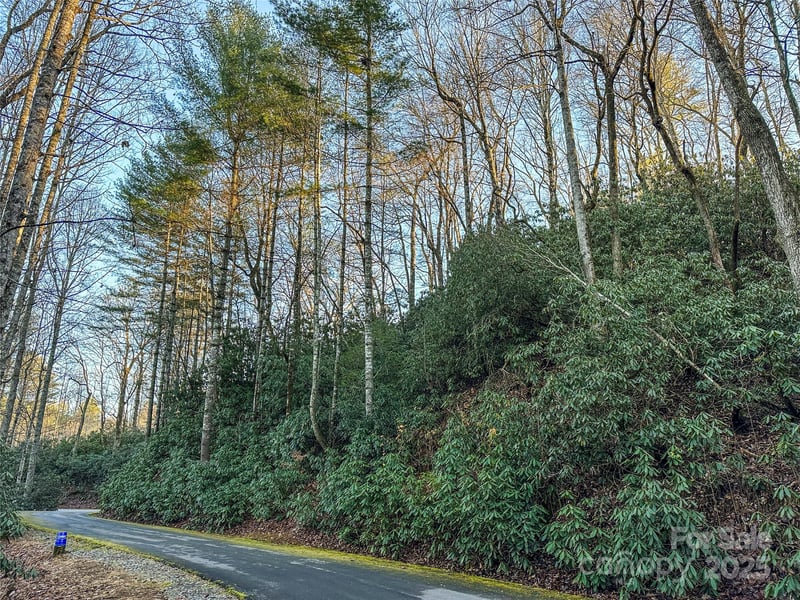 D17 Caroline Ln, Pisgah Forest, NC 28768