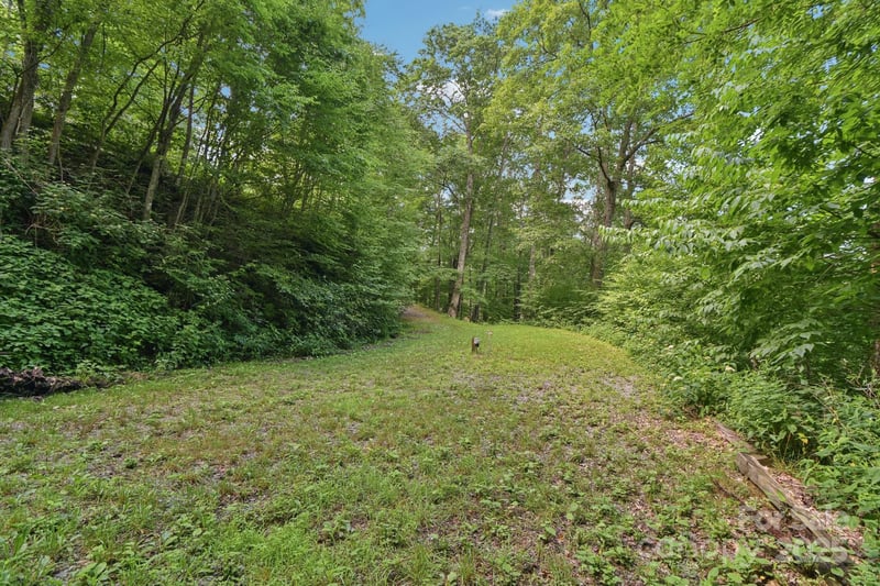 0000 Plott Balsam Rd, Maggie Valley, NC 28751