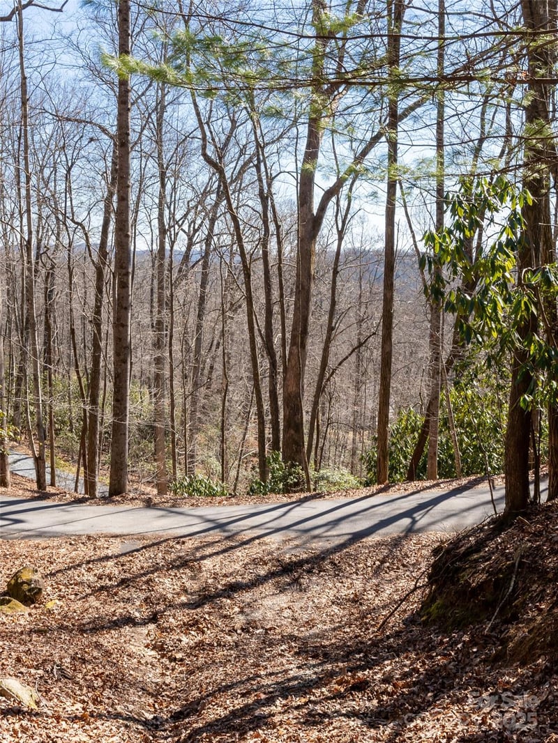 27 Alpen Rose Way, Mills River, NC 28759