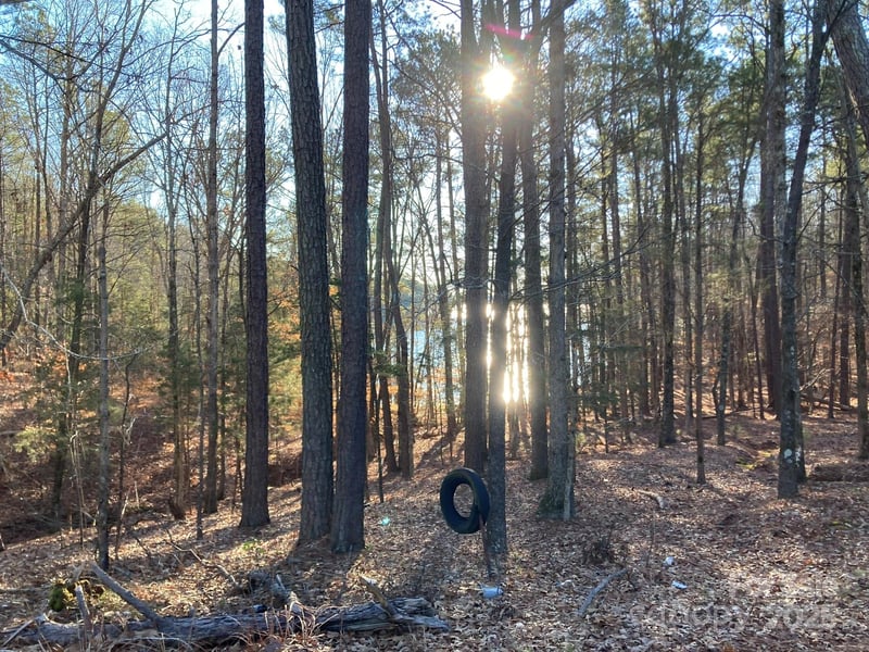 3539 Pearson Rd, Blair, SC 29015