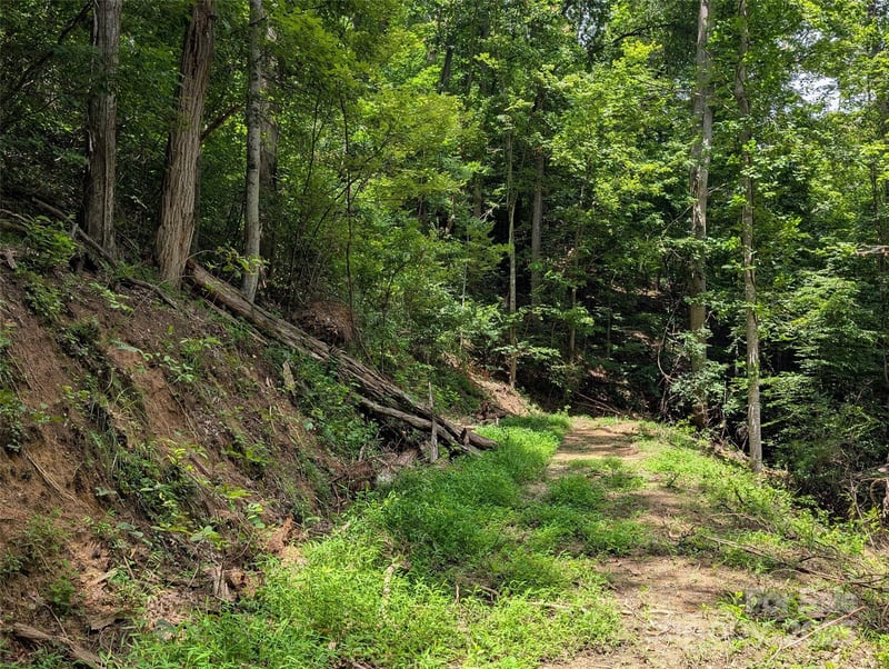 99999 Running Deer Ln #72, Mars Hill, NC 28754